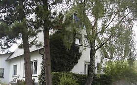 Weitblick Auf Berg, Wald Und Wiese