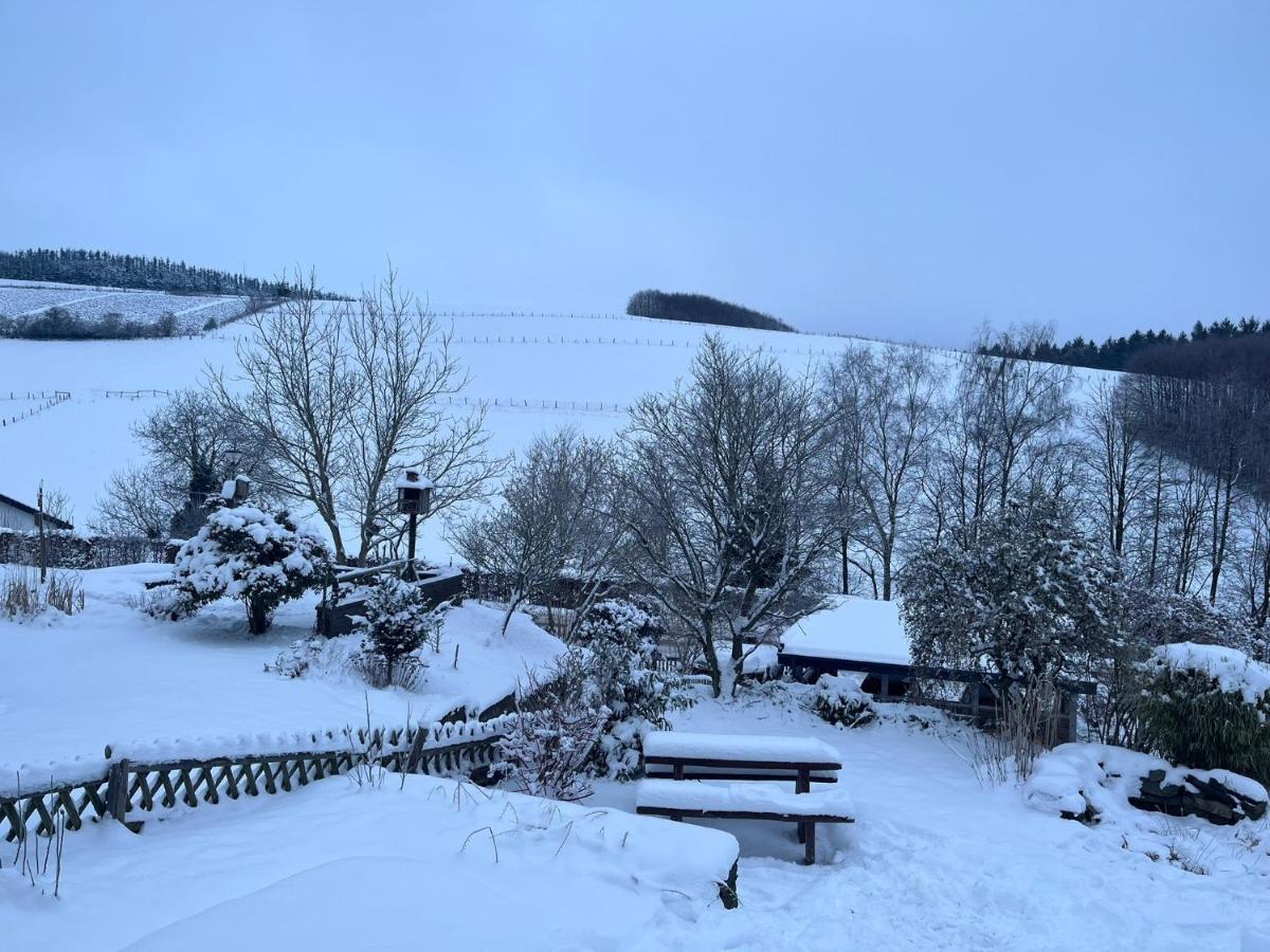 Weitblick Auf Berg, Wald Und Wiese Schmallenberg Buitenkant foto
